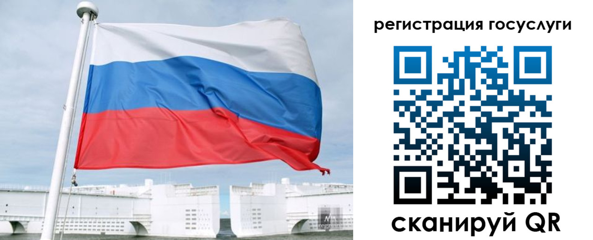временная регистрация поиск в Порхове